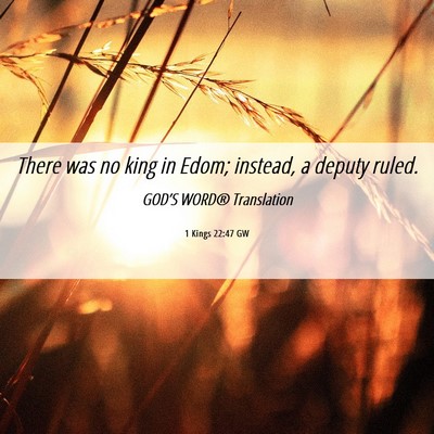 Picture 06 - 1 Kings 22:47 GW - There was no king in Edom; instead, a deputy - Bible Verse Picture