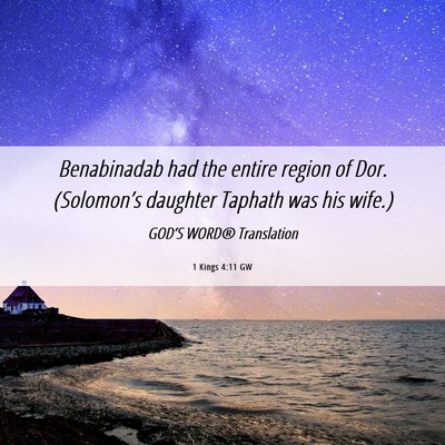 Picture 06 - 1 Kings 4:11 GW - Benabinadab had the entire region of Dor. - Bible Verse Picture