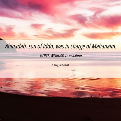 Picture 06 - 1 Kings 4:14 GW - Ahinadab, son of Iddo, was in charge of - Bible Verse Picture