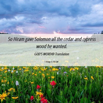 Picture 06 - 1 Kings 5:10 GW - So Hiram gave Solomon all the cedar and cypress - Bible Verse Picture