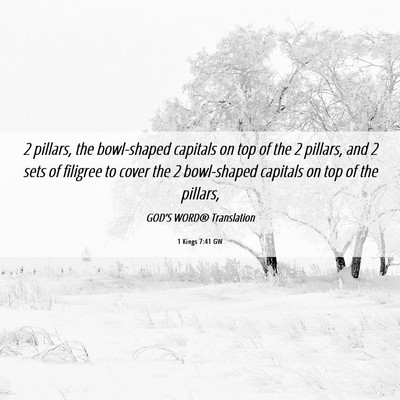 Picture 06 - 1 Kings 7:41 GW - 2 pillars, the bowl-shaped capitals on top of the - Bible Verse Picture