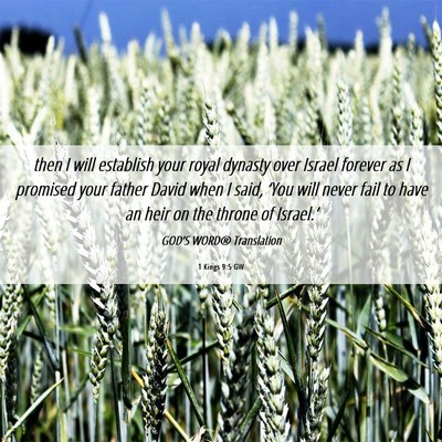 Picture 06 - 1 Kings 9:5 GW - then I will establish your royal dynasty over - Bible Verse Picture