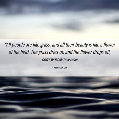 Picture 06 - 1 Peter 1:24 GW - “All people are like grass, and all their - Bible Verse Picture
