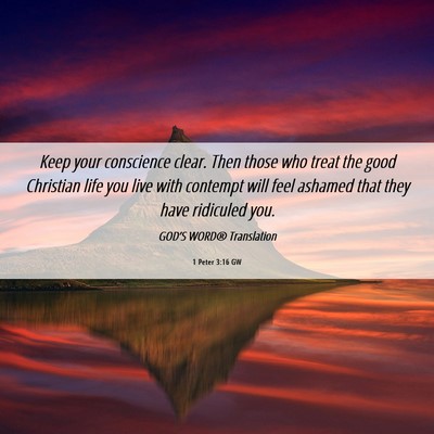 Picture 06 - 1 Peter 3:16 GW - Keep your conscience clear. Then those who treat - Bible Verse Picture