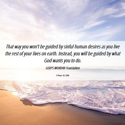 Picture 06 - 1 Peter 4:2 GW - That way you won’t be guided by sinful human - Bible Verse Picture