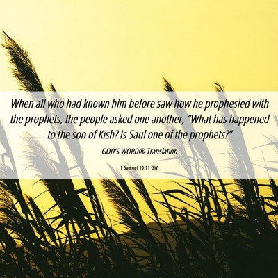 Picture 06 - 1 Samuel 10:11 GW - When all who had known him before saw how he - Bible Verse Picture