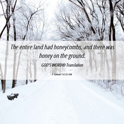 Picture 06 - 1 Samuel 14:25 GW - The entire land had honeycombs, and there was - Bible Verse Picture