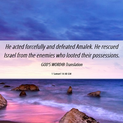 Picture 06 - 1 Samuel 14:48 GW - He acted forcefully and defeated Amalek. He - Bible Verse Picture