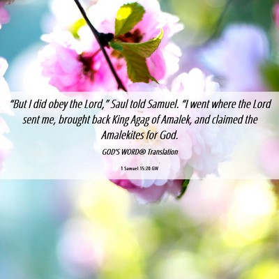 Picture 06 - 1 Samuel 15:20 GW - “But I did obey the Lord,” Saul told Samuel. - Bible Verse Picture