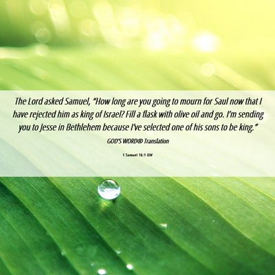 Picture 06 - 1 Samuel 16:1 GW - The Lord asked Samuel, “How long are you going - Bible Verse Picture