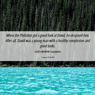 Picture 06 - 1 Samuel 17:42 GW - When the Philistine got a good look at David, he - Bible Verse Picture
