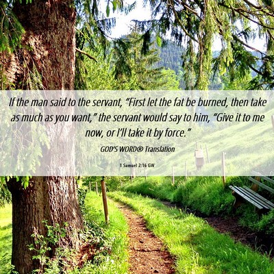 Picture 06 - 1 Samuel 2:16 GW - If the man said to the servant, “First let the - Bible Verse Picture