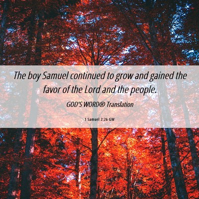 Picture 06 - 1 Samuel 2:26 GW - The boy Samuel continued to grow and gained the - Bible Verse Picture