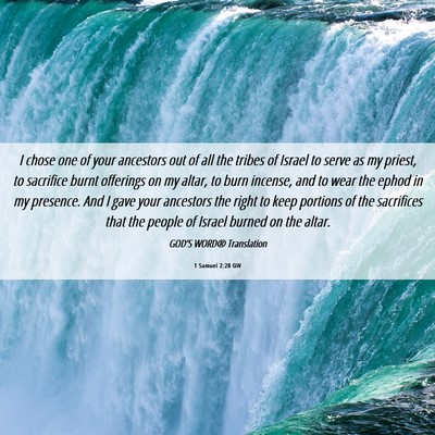 Picture 06 - 1 Samuel 2:28 GW - I chose one of your ancestors out of all the - Bible Verse Picture