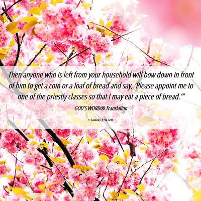 Picture 06 - 1 Samuel 2:36 GW - Then anyone who is left from your household will - Bible Verse Picture