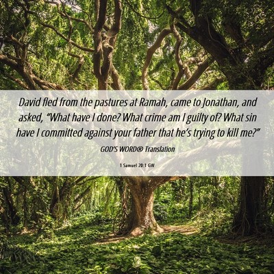 Picture 06 - 1 Samuel 20:1 GW - David fled from the pastures at Ramah, came to - Bible Verse Picture