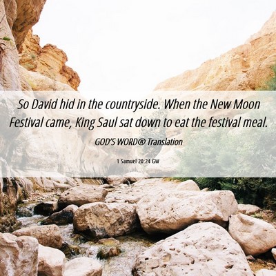 Picture 06 - 1 Samuel 20:24 GW - So David hid in the countryside. When the New - Bible Verse Picture