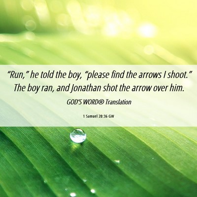 Picture 06 - 1 Samuel 20:36 GW - “Run,” he told the boy, “please find the - Bible Verse Picture