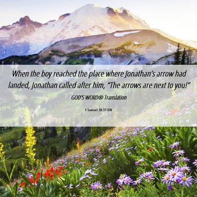 Picture 06 - 1 Samuel 20:37 GW - When the boy reached the place where Jonathan’s - Bible Verse Picture