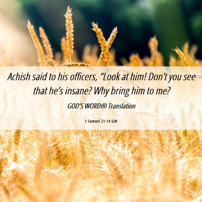 Picture 06 - 1 Samuel 21:14 GW - Achish said to his officers, “Look at him! - Bible Verse Picture