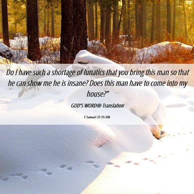 Picture 06 - 1 Samuel 21:15 GW - Do I have such a shortage of lunatics that you - Bible Verse Picture