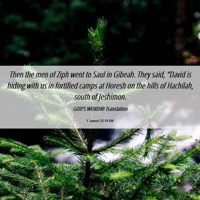 Picture 06 - 1 Samuel 23:19 GW - Then the men of Ziph went to Saul in Gibeah. They - Bible Verse Picture