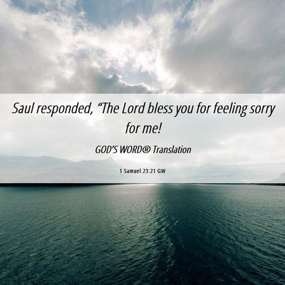 Picture 06 - 1 Samuel 23:21 GW - Saul responded, “The Lord bless you for feeling - Bible Verse Picture