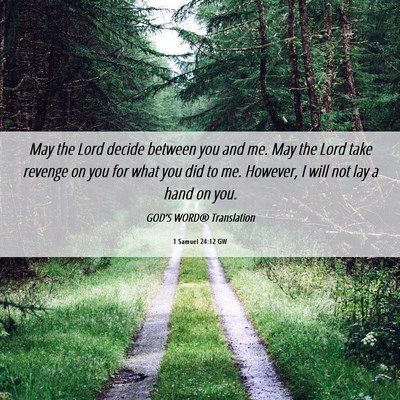 Picture 06 - 1 Samuel 24:12 GW - May the Lord decide between you and me. May the - Bible Verse Picture