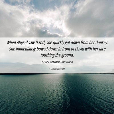 Picture 06 - 1 Samuel 25:23 GW - When Abigail saw David, she quickly got down from - Bible Verse Picture
