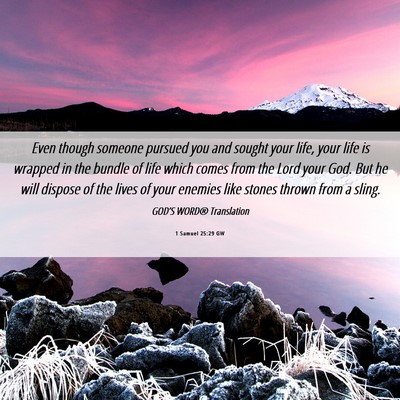 Picture 06 - 1 Samuel 25:29 GW - Even though someone pursued you and sought your - Bible Verse Picture