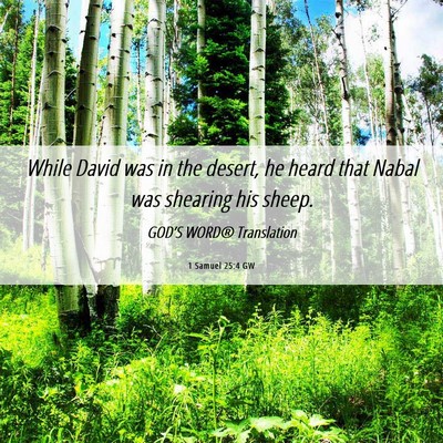Picture 06 - 1 Samuel 25:4 GW - While David was in the desert, he heard that - Bible Verse Picture