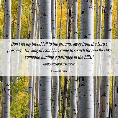 Picture 06 - 1 Samuel 26:20 GW - Don’t let my blood fall to the ground, away - Bible Verse Picture