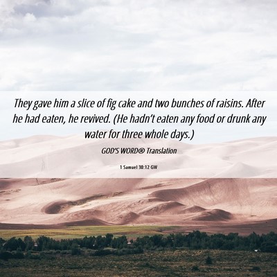 Picture 06 - 1 Samuel 30:12 GW - They gave him a slice of fig cake and two bunches - Bible Verse Picture