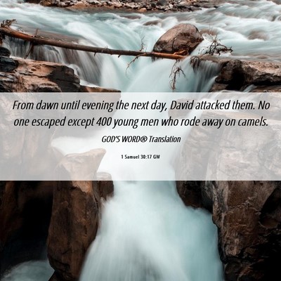 Picture 06 - 1 Samuel 30:17 GW - From dawn until evening the next day, David - Bible Verse Picture