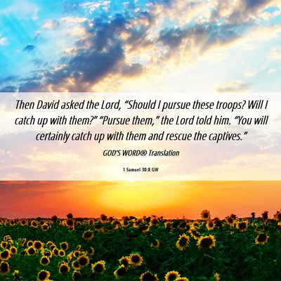 Picture 06 - 1 Samuel 30:8 GW - Then David asked the Lord, “Should I pursue - Bible Verse Picture