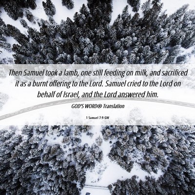 Picture 06 - 1 Samuel 7:9 GW - Then Samuel took a lamb, one still feeding on - Bible Verse Picture