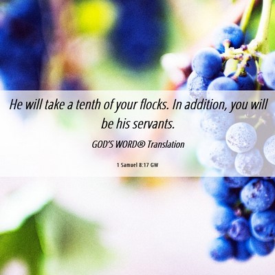 Picture 06 - 1 Samuel 8:17 GW - He will take a tenth of your flocks. In addition, - Bible Verse Picture