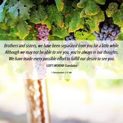 Picture 06 - 1 Thessalonians 2:17 GW - Brothers and sisters, we have been separated from - Bible Verse Picture