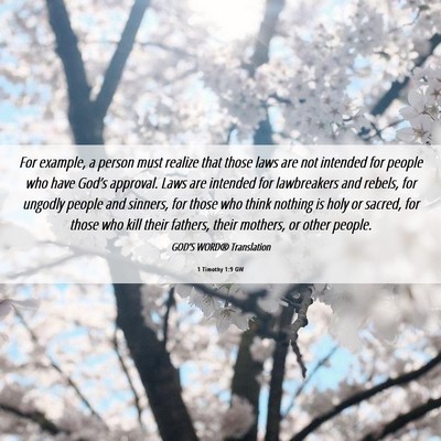 Picture 06 - 1 Timothy 1:9 GW - For example, a person must realize that those - Bible Verse Picture