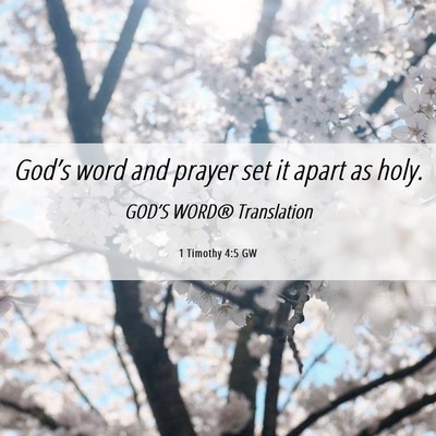 Picture 06 - 1 Timothy 4:5 GW - God’s word and prayer set it apart as - Bible Verse Picture