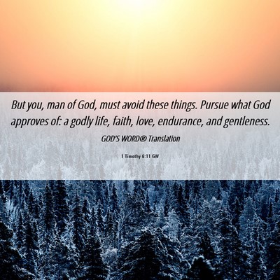 Picture 06 - 1 Timothy 6:11 GW - But you, man of God, must avoid these things. - Bible Verse Picture