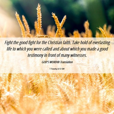 Picture 06 - 1 Timothy 6:12 GW - Fight the good fight for the Christian faith. - Bible Verse Picture