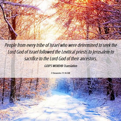 Picture 06 - 2 Chronicles 11:16 GW - People from every tribe of Israel who were - Bible Verse Picture