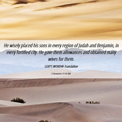 Picture 06 - 2 Chronicles 11:23 GW - He wisely placed his sons in every region of - Bible Verse Picture