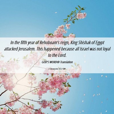 Picture 06 - 2 Chronicles 12:2 GW - In the fifth year of Rehoboam’s reign, King - Bible Verse Picture