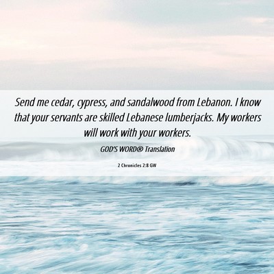 Picture 06 - 2 Chronicles 2:8 GW - Send me cedar, cypress, and sandalwood from - Bible Verse Picture
