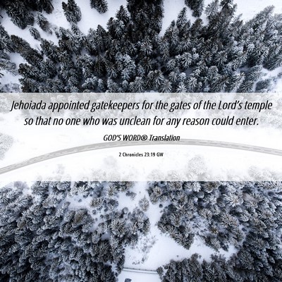 Picture 06 - 2 Chronicles 23:19 GW - Jehoiada appointed gatekeepers for the gates of - Bible Verse Picture