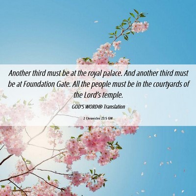 Picture 06 - 2 Chronicles 23:5 GW - Another third must be at the royal palace. And - Bible Verse Picture