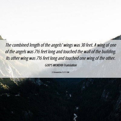 Picture 06 - 2 Chronicles 3:11 GW - The combined length of the angels’ wings was 30 - Bible Verse Picture