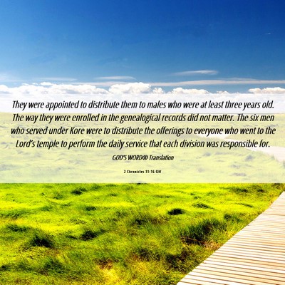 Picture 06 - 2 Chronicles 31:16 GW - They were appointed to distribute them to males - Bible Verse Picture